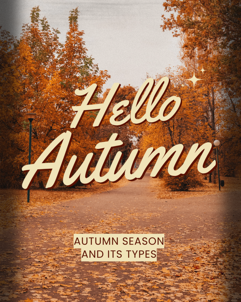 Hello Autumn banner on Color Analysis Quiz website showcasing fall foliage and autumn color palettes, representing seasonal color analysis types and warm autumn tones used in personal color analysis.