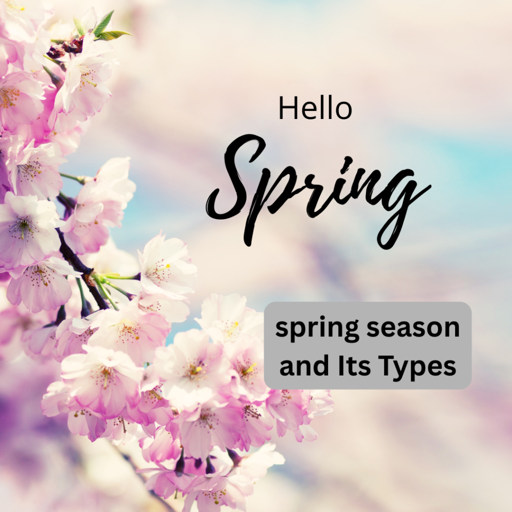 Spring season color analysis quiz featuring pink cherry blossoms, pastel spring colors, and floral background with ‘Hello Spring’ text. Image represents spring season types, fresh color palettes, and seasonal color analysis themes