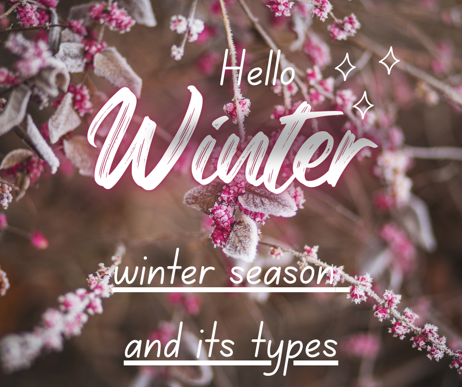 Winter season color analysis quiz cover featuring frosted branches with pink berries, cool muted tones, and ‘Hello Winter’ text, representing cool, deep, and high-contrast winter color palette types